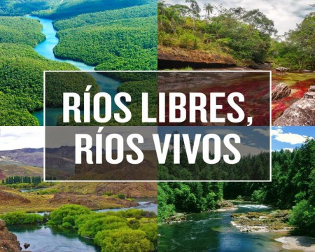 Ríos libres, sin contaminación ni represas 14 de Marzo!!!